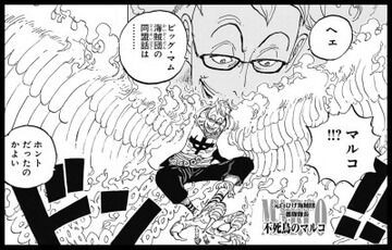 ワンピース ワノ国に不死鳥マルコ参戦ｗｗｗｗｗｗｗｗｗｗｗｗｗ ワロリンチョ
