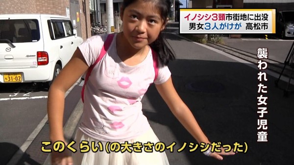 高学年　巨乳 画像】小学6年生・女児のお胸がこちら : 気になる芸能まとめ