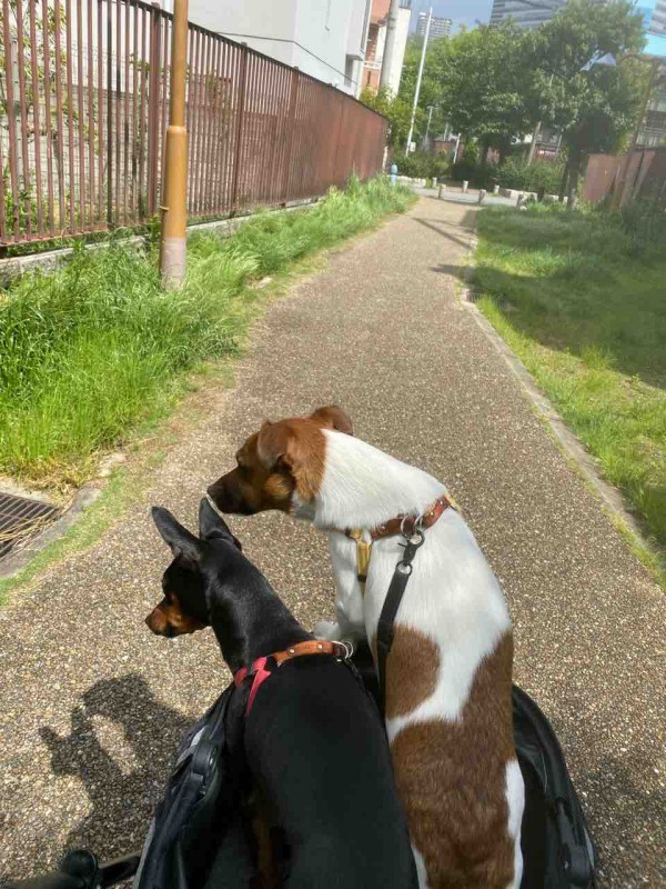 新世紀エヴァンゲリオン プラグスーツ着てみたい Warp Staff Blog