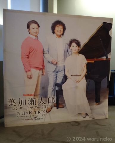 葉加瀬太郎 コンサートツアー 2024 乗っか 大阪 チケット