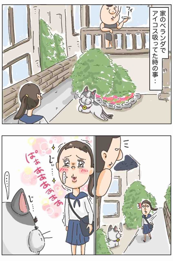 うちの毛玉を手懐ける強者がいようとは おぬし もしかして アラサー独女茨道 うちの毛玉を手懐ける強者がいようとは おぬし もしかして アラサー独女茨道