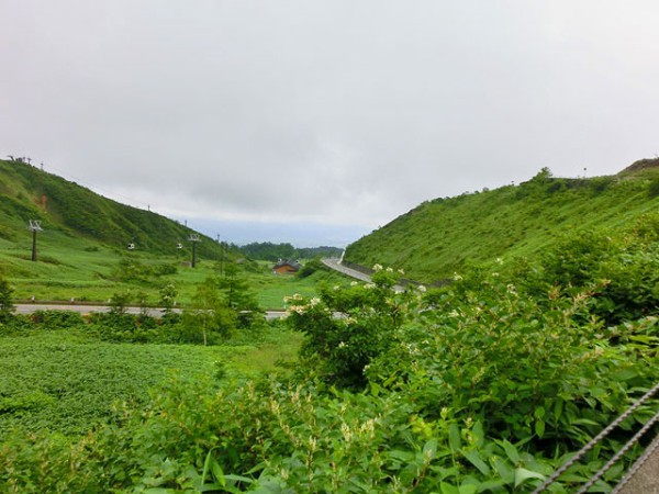 八面山 徳島県 神社まで むらくも