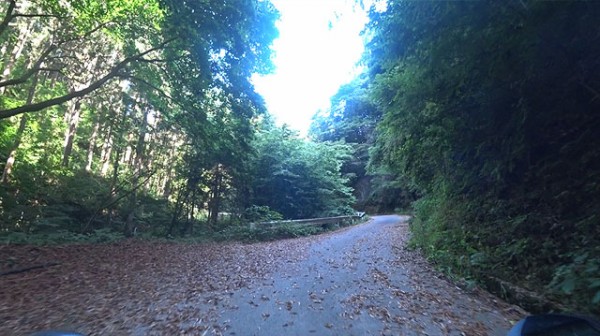 美女に会うには苦労が伴う 栃谷坂沢林道と照手姫伝説 サイクルスパイス