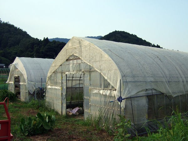 ビニールハウスに遮光ネットの季節 有機栽培で産地直送 わたなべ農園の健康野菜ブログ