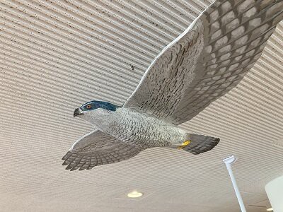 Kana　木彫りの鳥　オオタカ獲物捕獲直前 Kana様専用 木彫りの鳥 オオタカ獲物捕獲直前 【公式通販】