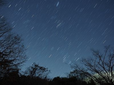 冬の星空 横浜自然観察の森 いきもののにぎわいのある森ブログ