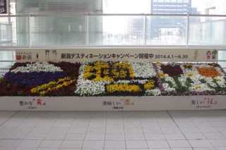 年のベスト 新潟 花 イベント