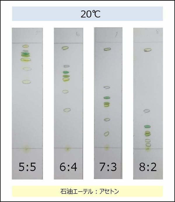 光合成色素の分離 温度と展開液の割合 Web247