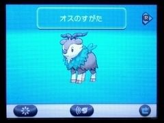 色違いメェークル ポケトレ ばし子のポケモンプレイ記