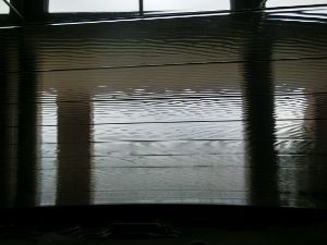 カーフィルム 劣化の話 ウェルハンズ スタッフの不定期日記