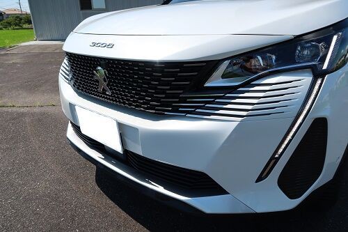 複雑なフロントグリルのコーティング プジョー3008編 : ウェルハンズ