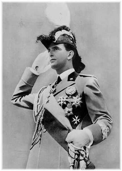 サヴォイア朝 直球洋館