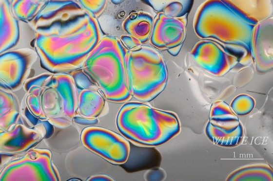 虹色ざらめ雪 White Ice