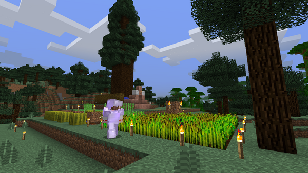 友人とマルチしてました 1 とりあえずマイクラとか