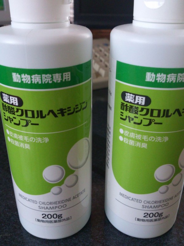 犬の殺菌 消毒シャンプー 東山水上行