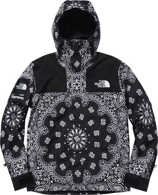 supreme north face winter jacket