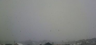 ロンダルキア台地 旅立ちはネアンデルタール