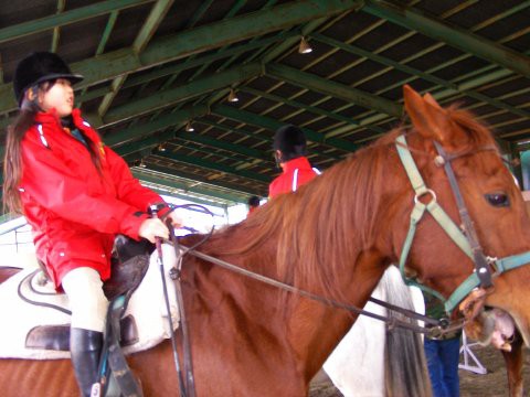 最終戦 神選手優勝 Windyridersのブログ