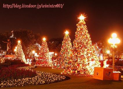   クリスマスツリー 2008 プラザで輝くたくさんのクリスマスツリー…。 : TDRな生活(-_-).。oOO