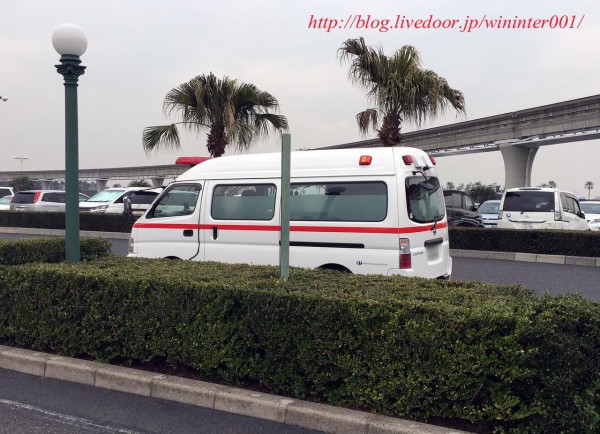 夢と魔法 でも避けられない現実 体調管理はしっかりと ｔｄｒな生活 Ooｏ