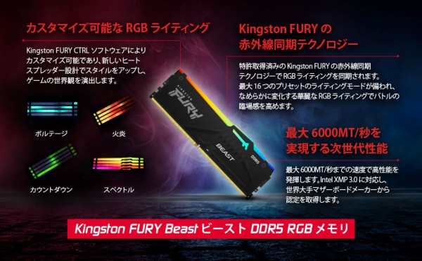 DDR5 キングストン FURY Beast 32GB×2 5600MT/秒