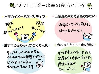 ソフロロジー出産まとめ 前編 しろくま君とのゆるゆる生活 30代の結婚生活日記