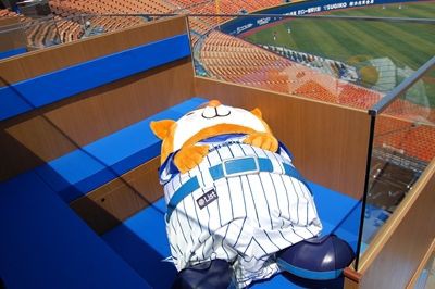 横浜スタジアム 居酒屋感覚で野球観戦 サイクリング ウォーキング