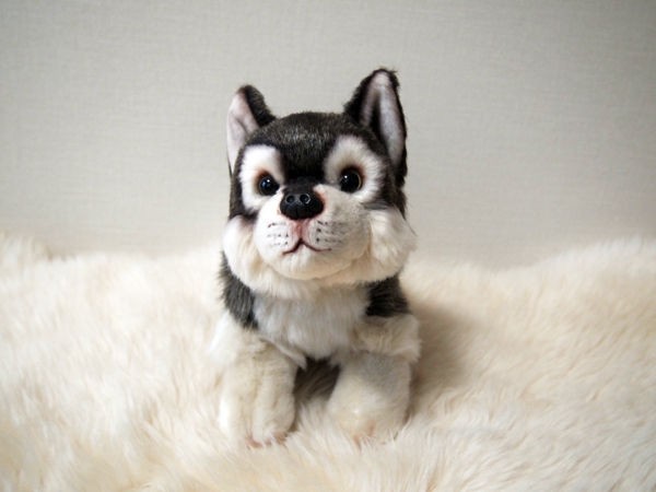 本日も営業しています Wolf Fans Com 狼大好き Wolf Fans Com