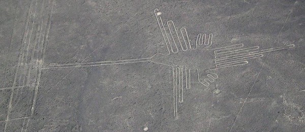 800px-Nazca_colibri