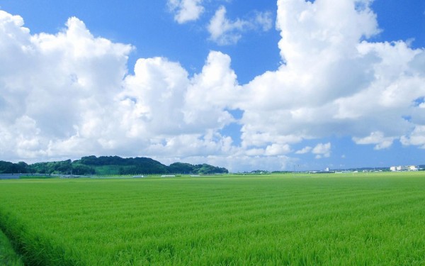 そろそろ夏だし夏の切ない画像ください 夏速報