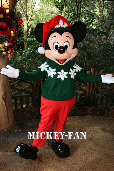 Wdw アニマルキングダム キャンプ ミニー ミッキー クリスマス グリーティング ミッキークルーズ ミカのディズニーリゾートへの旅 10