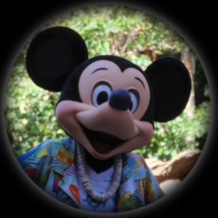 キャラクターブレックファスト ハワイ アウラニへの旅３ Aulani ミッキークルーズ ミカのディズニーリゾートへの旅 10