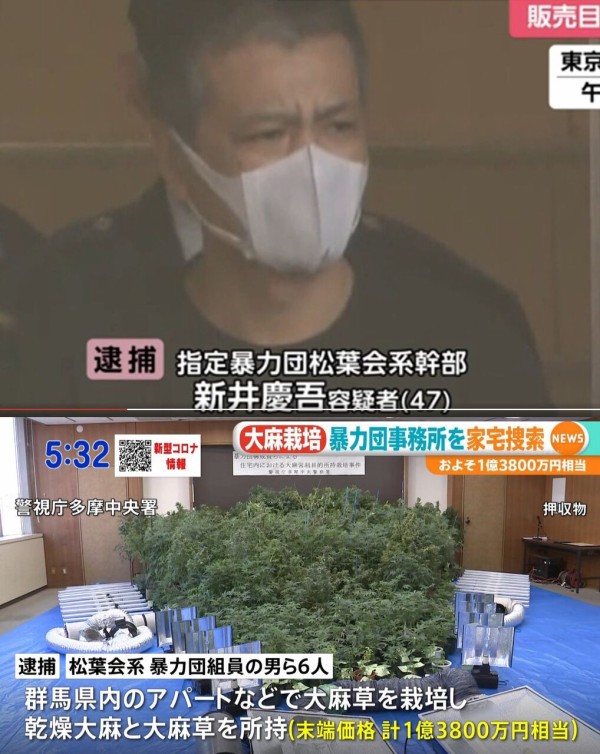 動画 指定暴力団松葉会大久保一家を家宅捜索 新井慶吾 47 って在日だろ 販売目的で大麻を栽培した容疑で Video Police Raid Designated Gangster Matsubakai Okubo S Family Keigo Worldwalker S Weblog