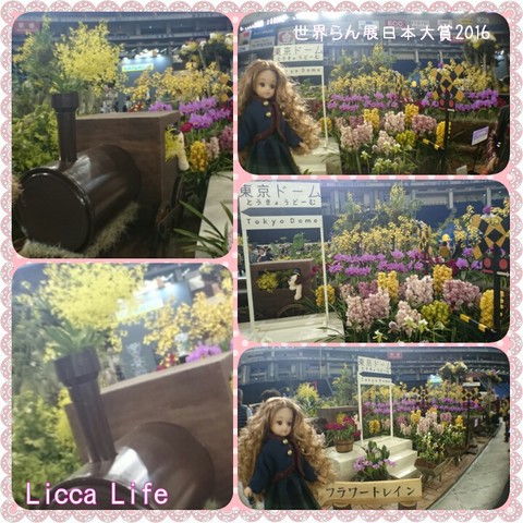 21リカちゃんと 世界らん展日本大賞16 の旅 リカちゃん 世界らん展日本大賞 洋ラン ガーデニング Natane Doll Life