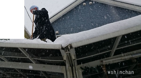 大雪でも半袖 子供らが大きくなって助かった 小学生 半袖 雪下ろし 八王子 雪 寒さ Wshinchan Next