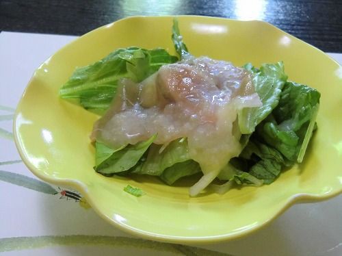 日本料理 魚 菜 季 しげ真 しげしん 兵庫 加古川市尾上町安田 １年３６５日営業 日曜定休