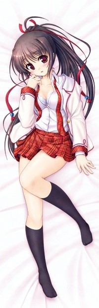 大図書館の羊飼い 桜庭玉藻 制服 抱き枕カバー ◇ 電撃姫 甘 2012