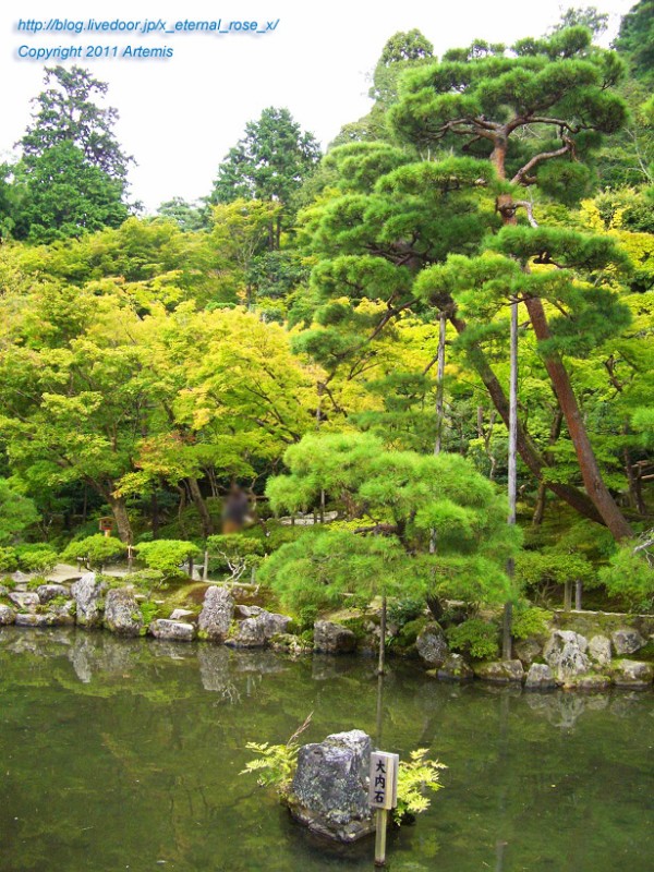 銀閣寺（慈照寺）同仁斎 錦鏡池 洗月泉 お茶の井 展望所 銀閣寺型手