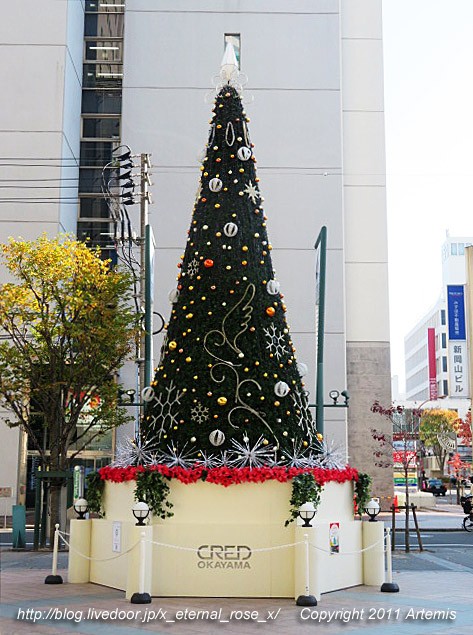 Beef Italian Montare モンターレ 特製牛タンシチューランチ Eternal Rose エターナルローズ