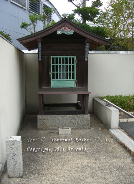 沖田神社 道通宮 No 1 Eternal Rose エターナルローズ