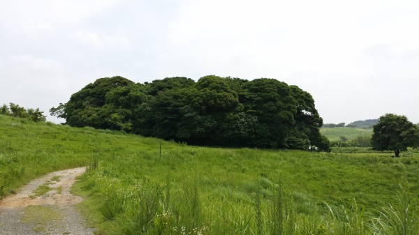 秋吉台トレッキングやら ｍ氏のたまにはアウトドア生活