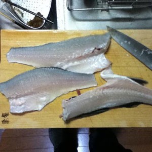 荒川のシーバス フッコ 食べれるか料理してみたっ Webノマドの釣行記