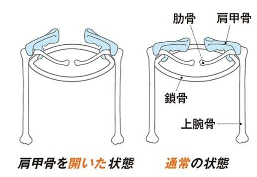 腕振りで30秒速くなるための立甲トレーニング【実践編】 : 考え