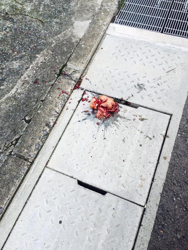 おにぎり、下着、かつら…】面白い落とし物たち 3/3 【ブラジャーまとめ・】 : ブラジャーまとめ