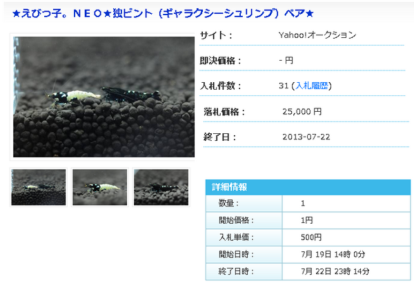 レッドビーシュリンプ高価で取引された物紹介 レッドビーシュリンプ相場とグレード レッドビーシュリンプ高価で取引された物紹介 レッドビーシュリンプ相場とグレード