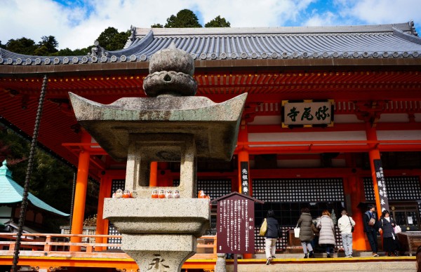 勝尾寺 紅葉狩りなのか だるま狩りなのか ふらり旅がっぱ紀行