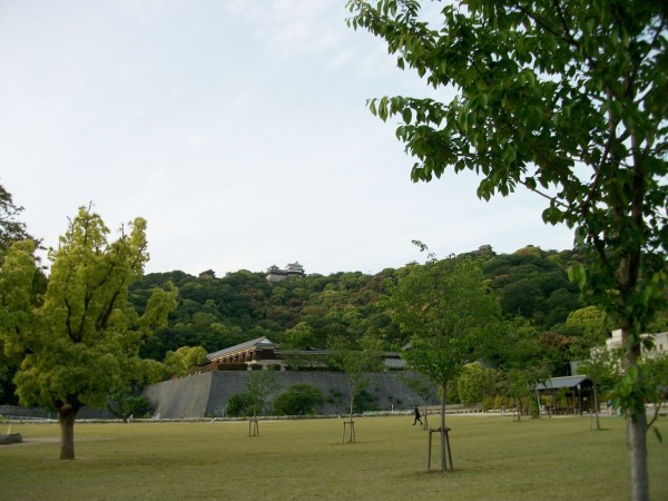 松山市で一番夜遅くまで営業している本屋さんは 移り住んだ愛媛県で楽しみながら暮らす