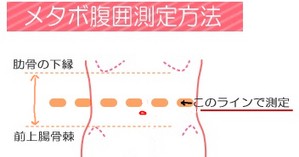メタボに新基準が 永遠の破片