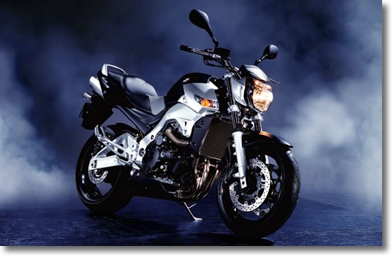 国産虫系ネイキッド 発売 ヤスコライダー ブログ