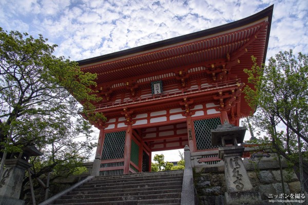 京都の新緑 清水寺 ある意味貴重 清水の舞台が改修工事に入りました ニッポンを撮る